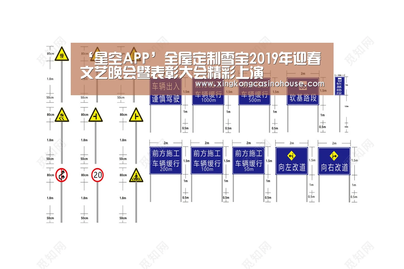 ‘星空APP’全屋定制雪宝2019年迎春文艺晚会暨表彰大会精彩上演(图1) 星空登录