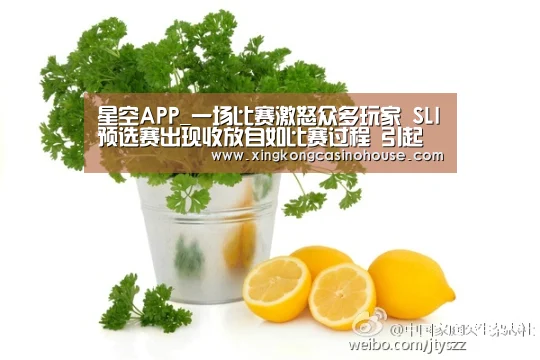 星空APP_一场比赛激怒众多玩家 SLI预选赛出现收放自如比赛过程 引起粉丝质疑(图1) 星空真人