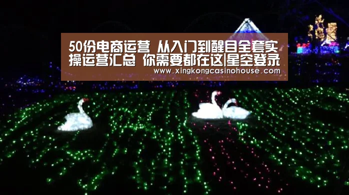 50份电商运营 从入门到醒目全套实操运营汇总 你需要都在这|星空登录(图1) 星空真人
