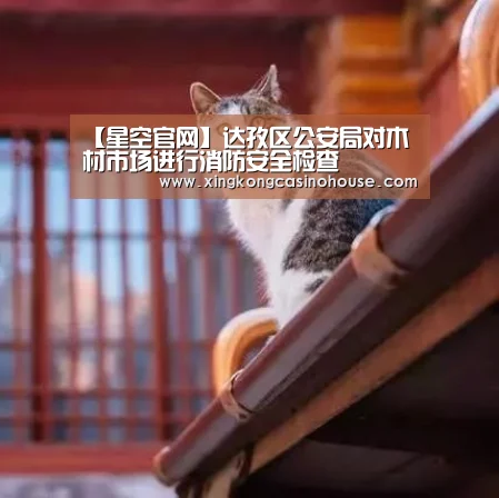 【星空官网】达孜区公安局对木材市场进行消防安全检查(图2) 星空官网