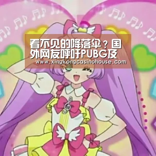 看不见的降落伞?国外网友呼吁PUBG及时修复该BUG:星空APP(图1) 星空官网