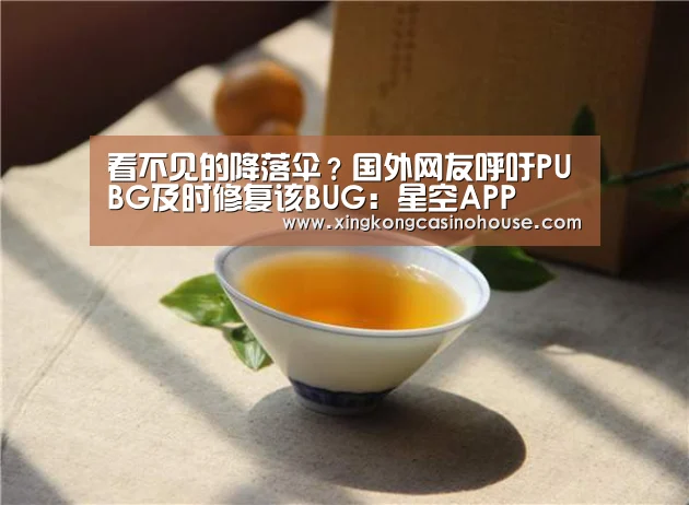 看不见的降落伞?国外网友呼吁PUBG及时修复该BUG:星空APP(图2) 星空登录